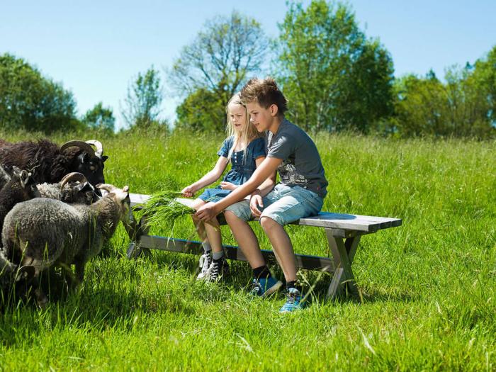 Bild 2, Shabby Chic Grå / Grå - Hillerstorp - Bonus Möbler