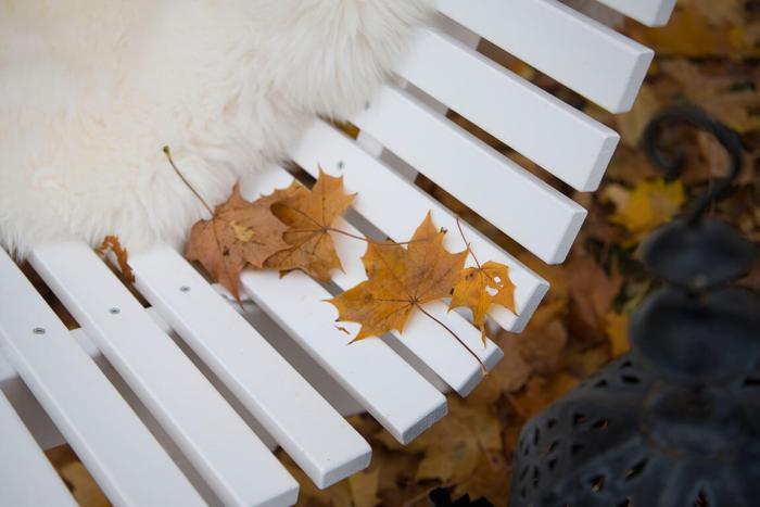 Bild 6, Lund Vit - Hillerstorp - Bonus Möbler