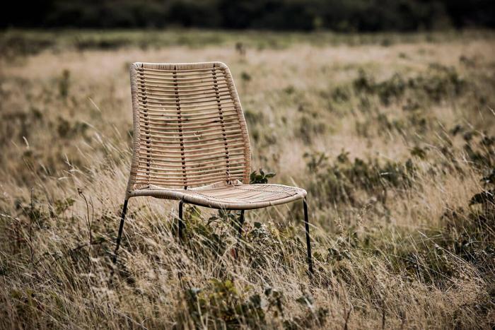 Bild 7, Liljearp Natur - Hillerstorp - Bonus Möbler