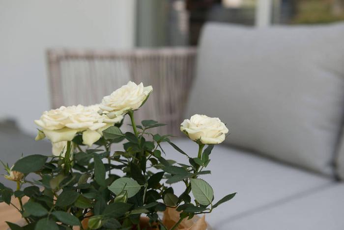 Bild 7, Himmelsnäs Beige | Hillerstorp | Bonus Möbler