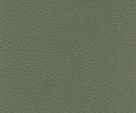 L&auml;der Baltique Light Green 88042 - Swedese - Bonus M&ouml;bler