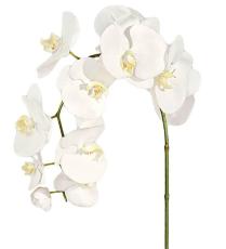 Phalaenopsis 100 cm Vit - Mr Plant - Bonus M&ouml;bler