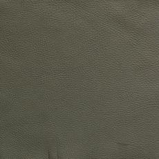 56. L&auml;der Semianilin Bolzano Sea Grass 21 | Conform | Bonus M&ouml;bler