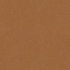 58. L&auml;der Natur Grizzly Nature 62 | Conform | Bonus M&ouml;bler