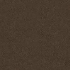 60. L&auml;der Anilin Sauvage Terra 66 | Conform | Bonus M&ouml;bler