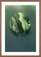 Botanic 01 50X70 Valn&ouml;t | Hoei | Bonus M&ouml;bler