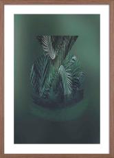 Botanic 02 50X70 Valn&ouml;t | Hoei | Bonus M&ouml;bler