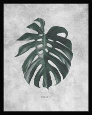 Botanic 40X50 Svart - Hoei - Bonus M&ouml;bler