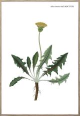 Nordic Flora 10 21X30 Tr&auml;ren - Hoei - Bonus M&ouml;bler