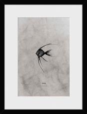 Swim 30X40 Svart - Utg&aring;tt - Bonus M&ouml;bler