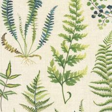 4. &Auml;ng 03 | Br&ouml;derna Anderssons | Bonus M&ouml;bler