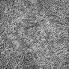 F&aring;rskinn 22 Scandinavian Grey | DUX | Bonus M&ouml;bler