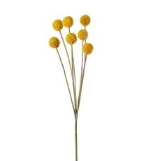 Craspedia 60 cm Gul - Mr Plant - Bonus M&ouml;bler