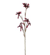 K&auml;ngurutass 65 cm R&ouml;d - Mr Plant - Bonus M&ouml;bler