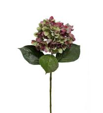 Hortensia 65 cm R&ouml;d - Mr Plant - Bonus M&ouml;bler