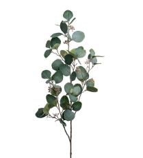 Eucalyptus med b&auml;r 100 cm Gr&ouml;n - Mr Plant - Bonus M&ouml;bler