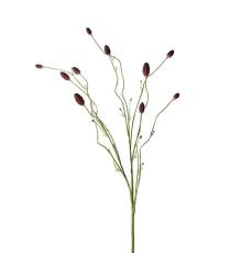Pimpinell 80 cm Burgundy - Mr Plant - Bonus M&ouml;bler