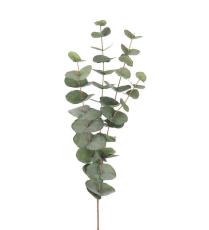 Eucalyptus 60 cm Gr&ouml;n - Mr Plant - Bonus M&ouml;bler