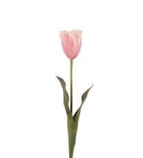 Tulpan 58 cm Rosa - Mr Plant - Bonus M&ouml;bler