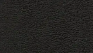 L&auml;der Nevada Black 0500 | Swedese | Bonus M&ouml;bler