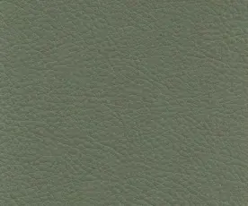 L&auml;der Baltique Light Green 88042 | Swedese | Bonus M&ouml;bler