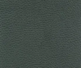 L&auml;der Baltique Dark Green 98001 | Swedese | Bonus M&ouml;bler