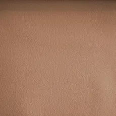 50. L&auml;der Toledo Camel 64 | Burh&eacute;ns | Bonus M&ouml;bler