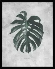 Botanic 40X50 Svart - Hoei - Bonus M&ouml;bler