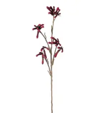 K&auml;ngurutass 65 cm R&ouml;d - Mr Plant - Bonus M&ouml;bler