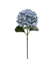 Hortensia 65 cm Bl&aring; - Mr Plant - Bonus M&ouml;bler