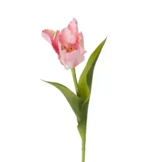 Tulpan 37 cm Rosa - Mr Plant - Bonus M&ouml;bler