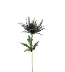 Tistel 25 cm Bl&aring; - Mr Plant - Bonus M&ouml;bler
