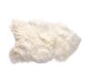 Wild White