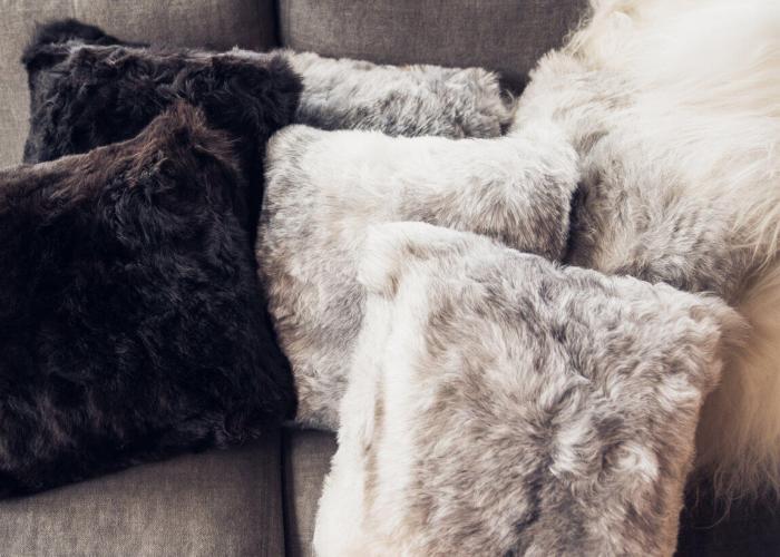 Bild 9, Icelandic Sheepskin Shorn Grey - Cuero Design - Bonus Möbler