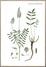 Nordic Flora 4 21X30 Tr&auml;ren - Hoei - Bonus M&ouml;bler